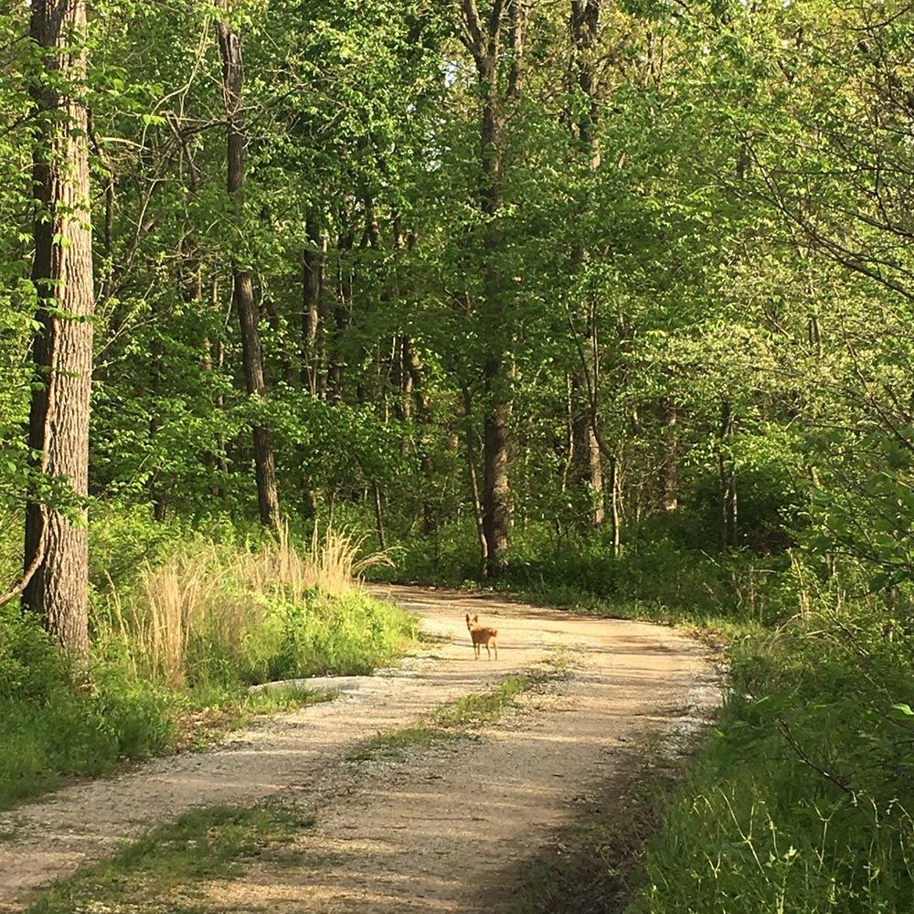 Meet your Posher, Shelly